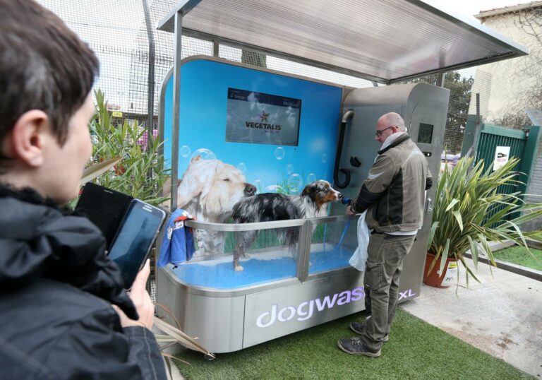 Reportage Var matin lors de l’inauguration du Dogwash à la jardinerie Vegetalis de Frejus